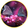 Avatar du membre