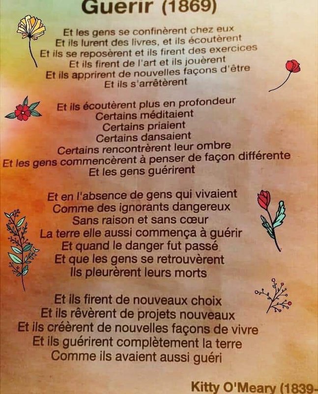 Citations Proverbes Que Vous Aimez Page 26 Forum Depression
