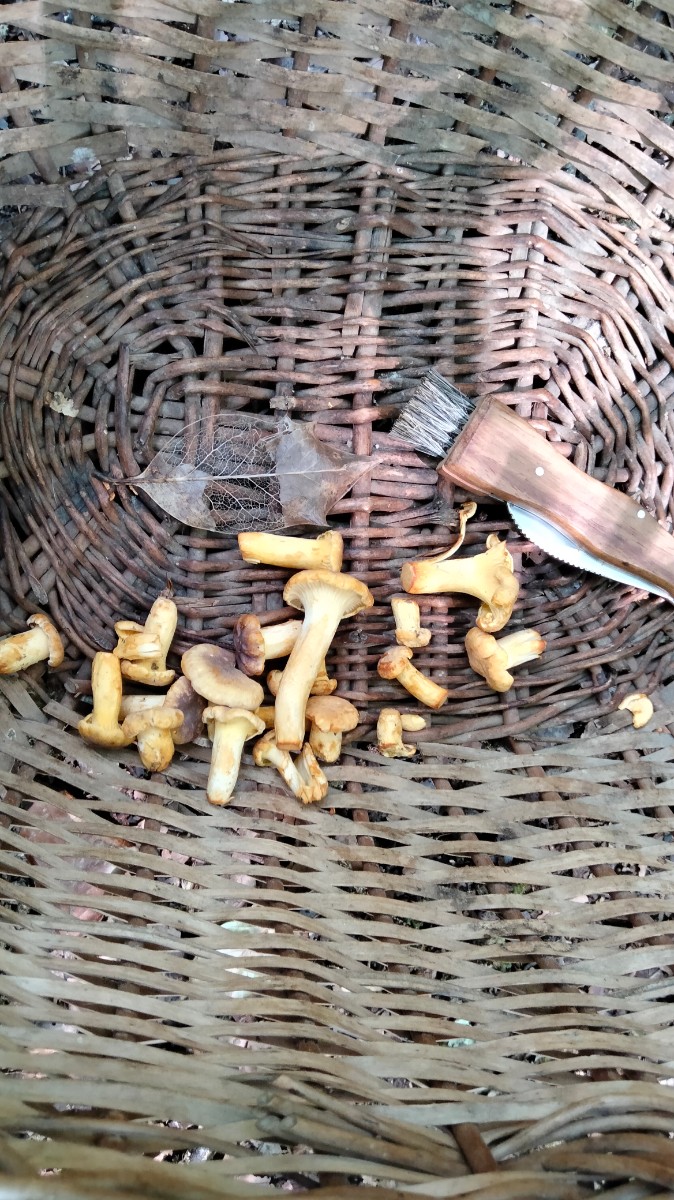 IMG20240820133153.jpg