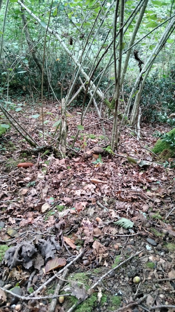 IMG20240917181715.jpg