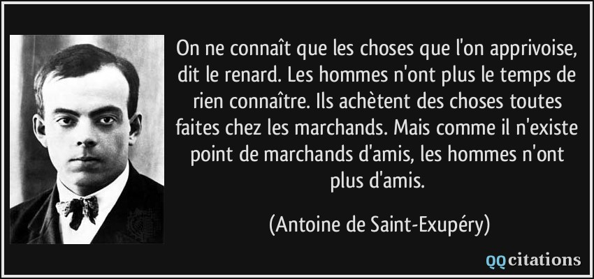 citation-on-ne-connait-que-les-choses-que-l-on-apprivoise-dit-le-renard-les-hommes-n-ont-plus-le-temps-de-antoine-de-saint-exupery-111831.jpg
