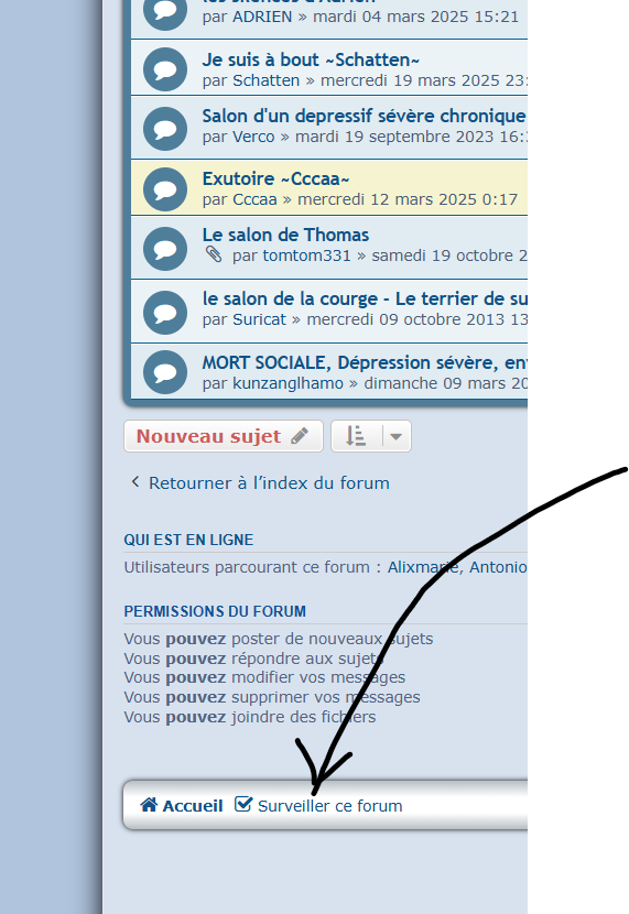 Capture d’écran 2025-05-20 221319.png