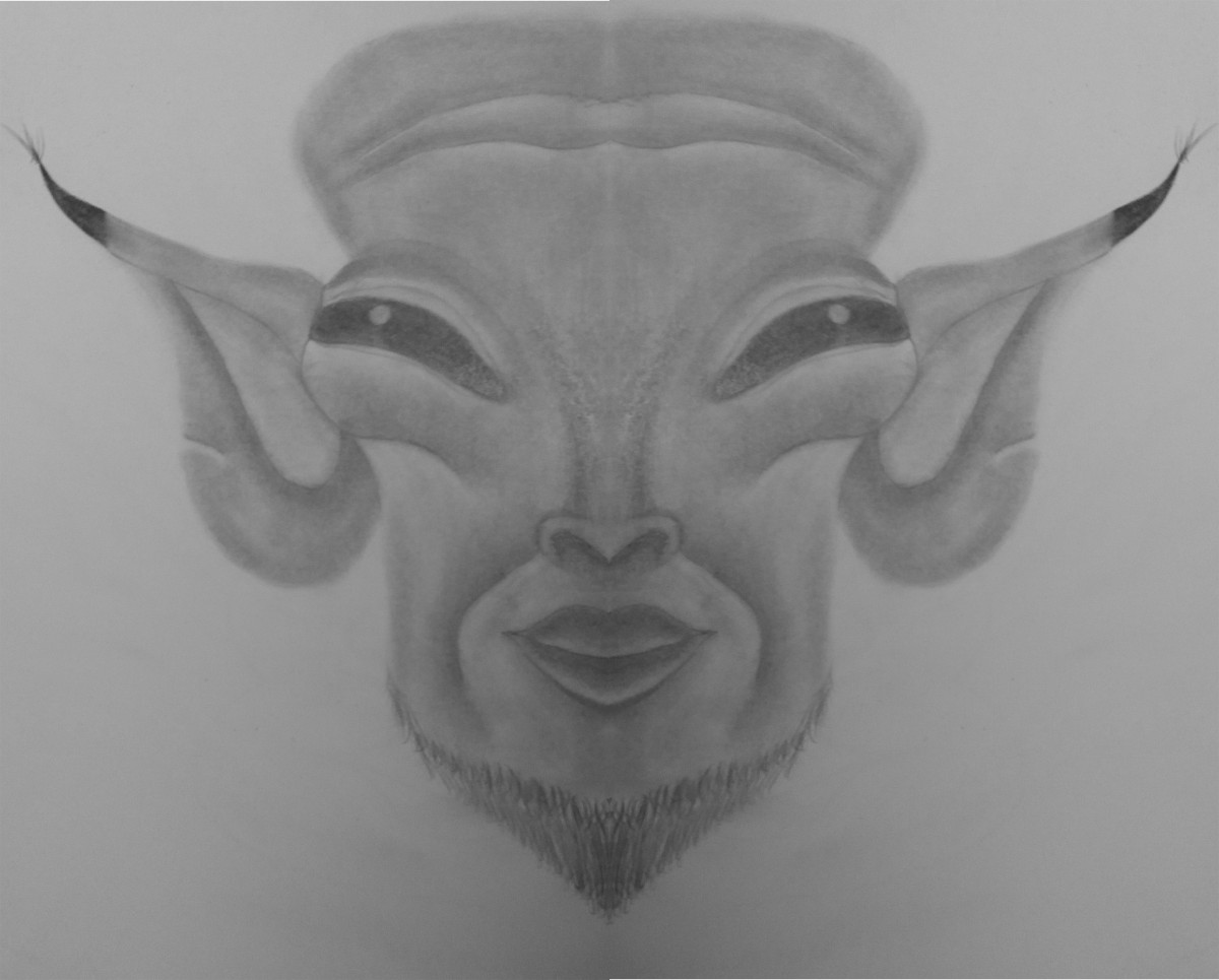 Demi_tete_aln_31-01-2018_2d_Sym.jpg