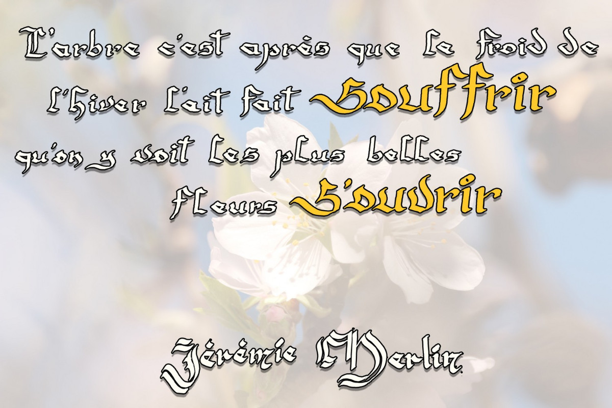 Fleurs_Souffrir_Souvrirent_MTG_PC_1b.jpg