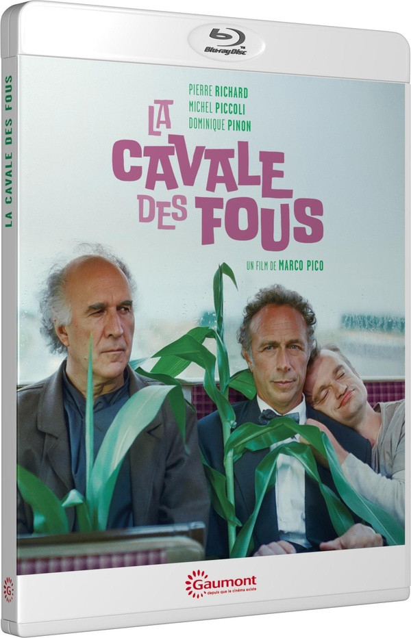cavala des fous.jpg