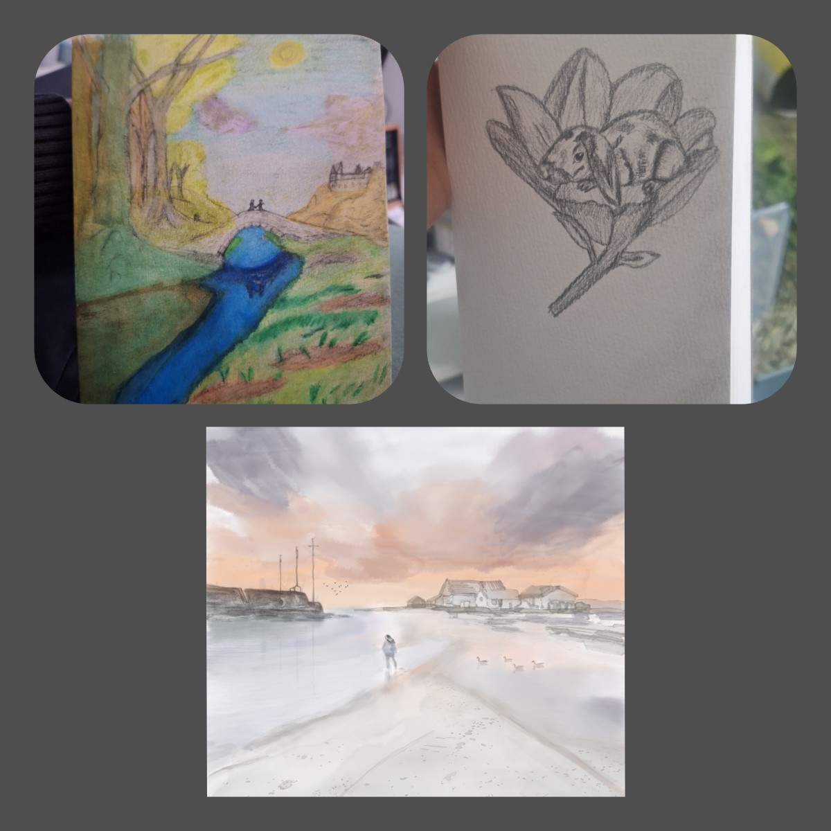 InCollage_20260521_134620244.jpg