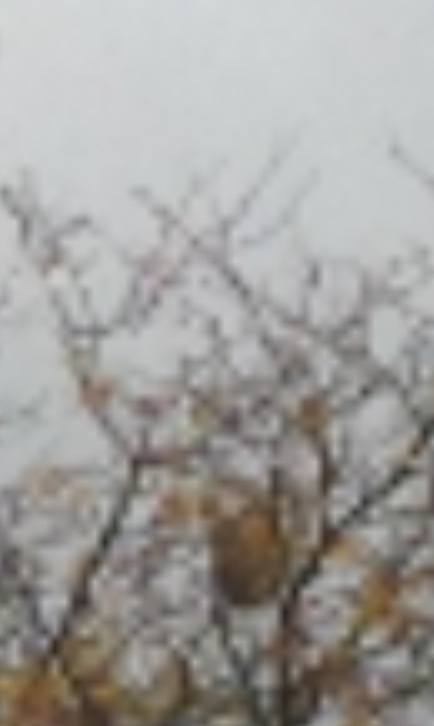 488E6923-B190-45ED-8F44-02515276763F.jpeg
