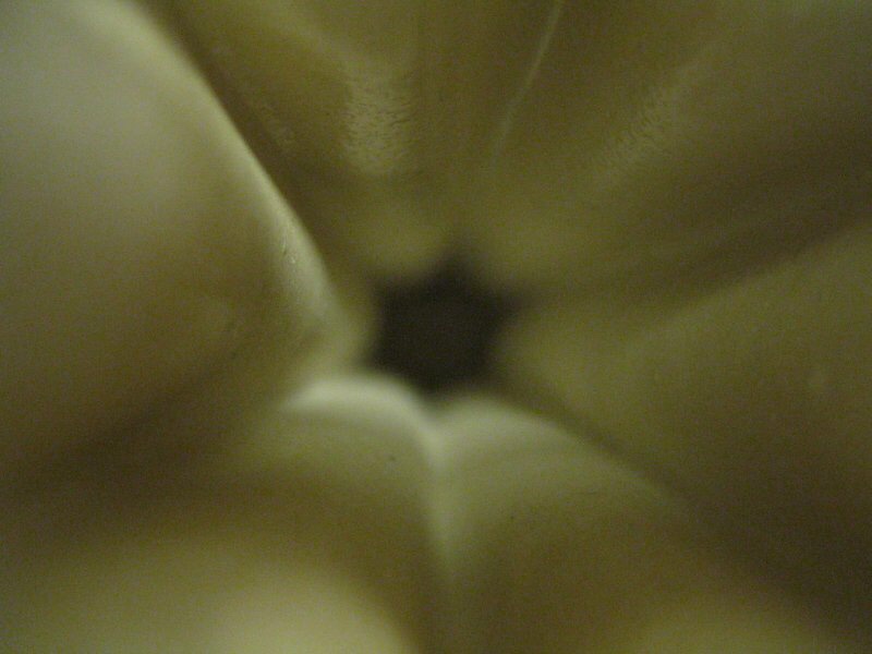 8C713B84-AA0C-4AC8-838E-7D4CA3EA34D5.jpeg