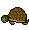 Miss Choco :tortue: